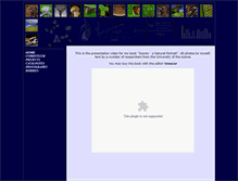 Tablet Screenshot of ennor.org